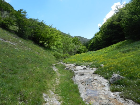 Sentiero Italia. Or was it CAI #3? Or #10Bis?