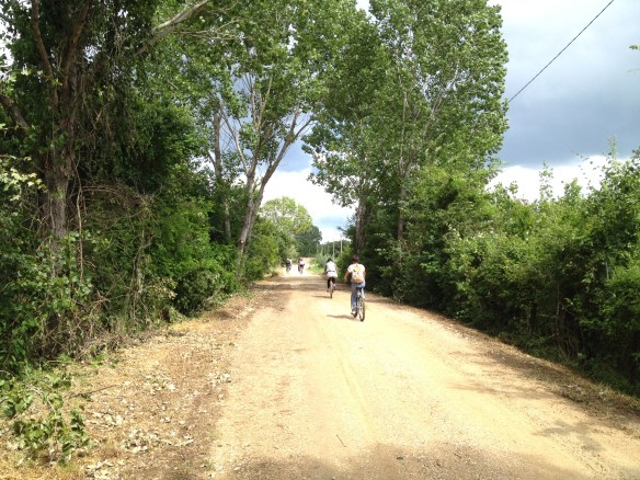 Biking near the shores of Lago Trasimeno